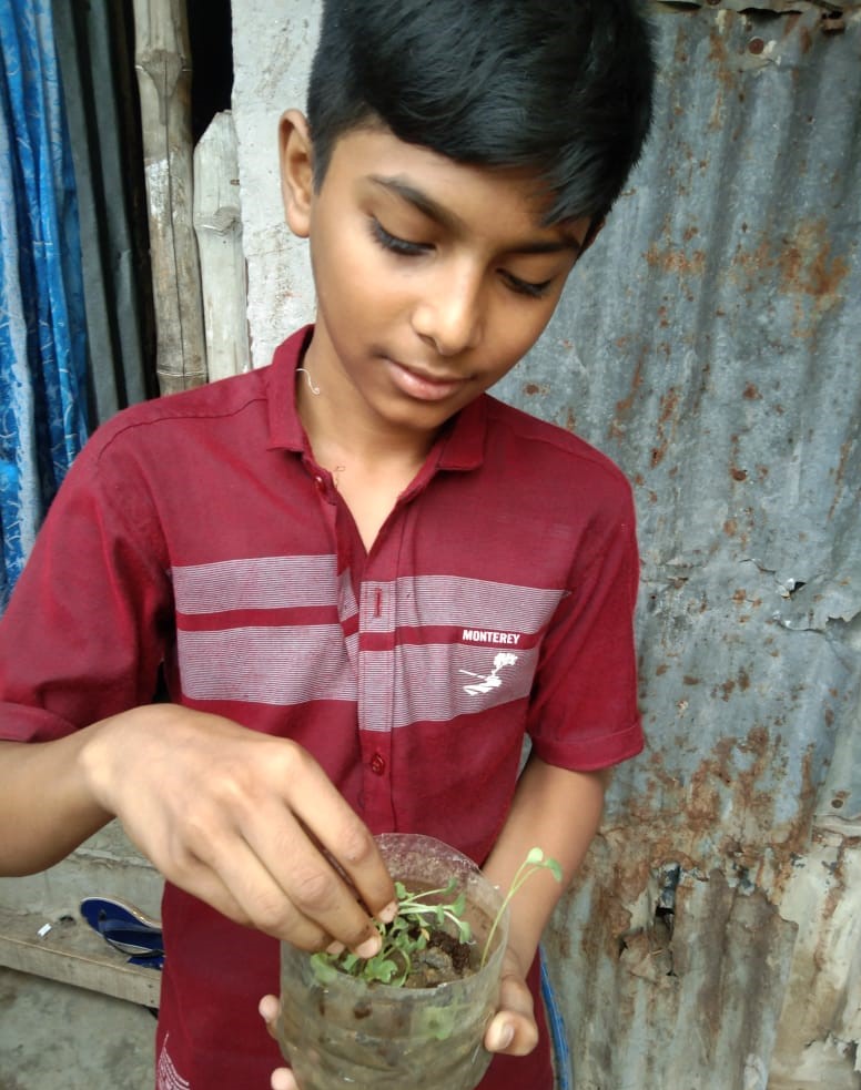 Jahid using organic compost 2