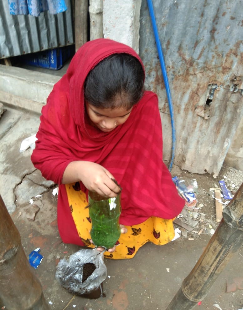 Nasrin using organic compost